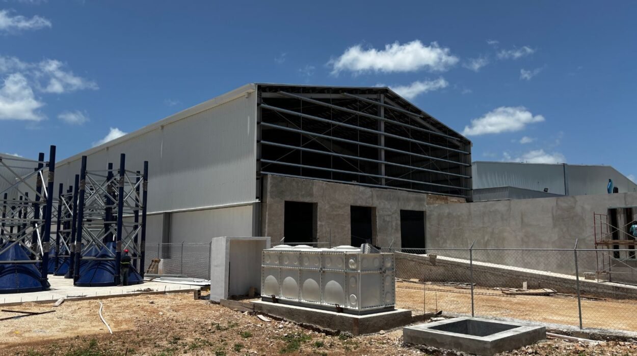 diferencias entre bts y renta convencional