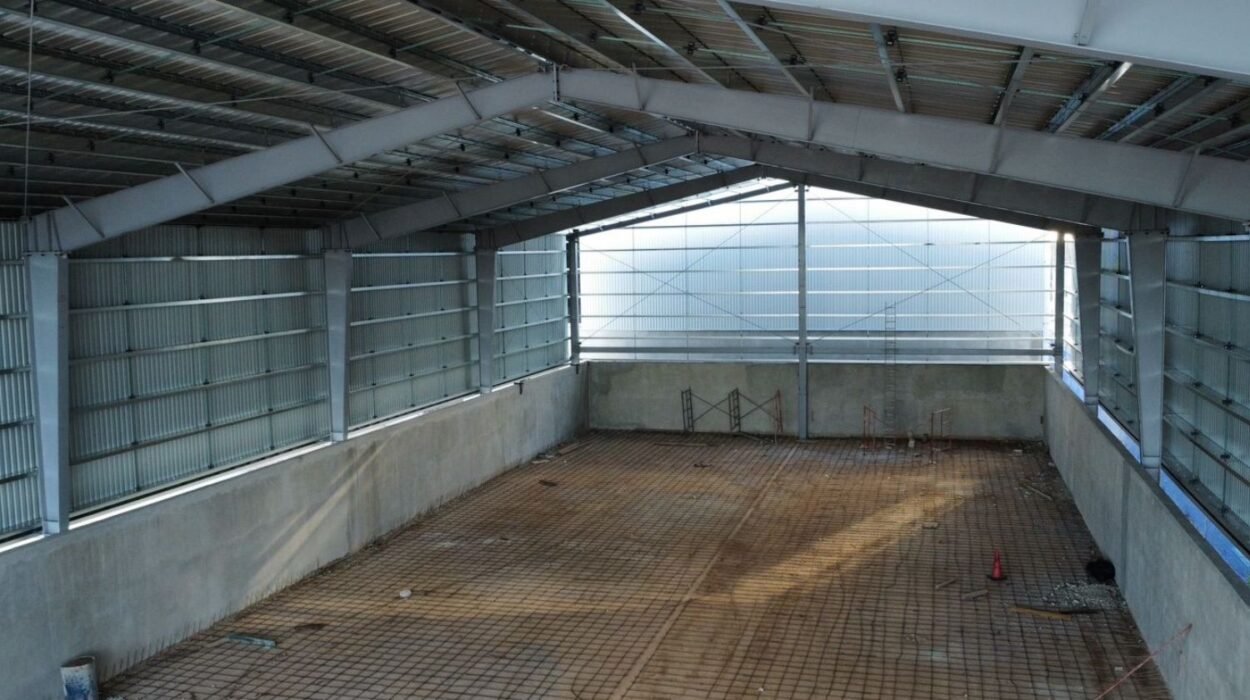 renta de bodegas BTS en yucatán