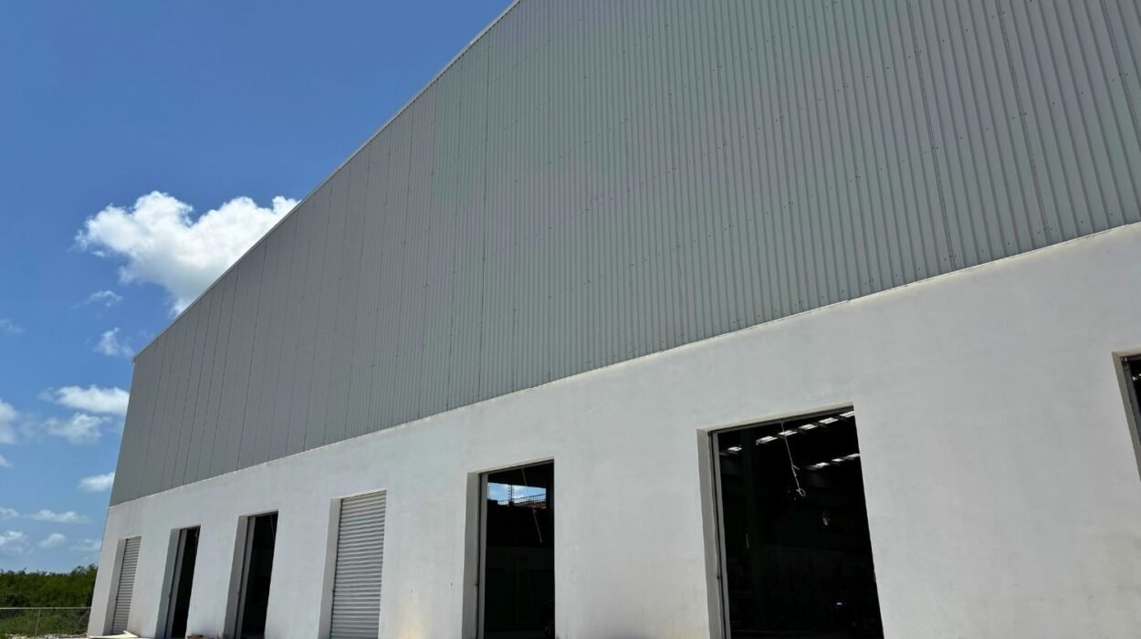 Andenes de carga en bodegas BTS